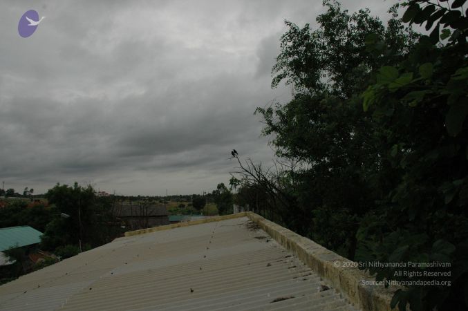 20100611 Photo 1014 1pK68pt4nDLaWdqqwV5KZrxmghG4BVuLb.JPG