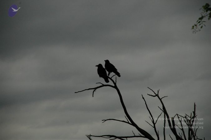 20100611 Photo 1016 12zmuR7-s1aGfgYpLPuezBn3ZUkmH9 UC.JPG