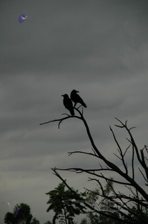 20100611 Photo 1018 1OM9F1KwtdJaqF9mU8K394ShzBn8olHZA.JPG