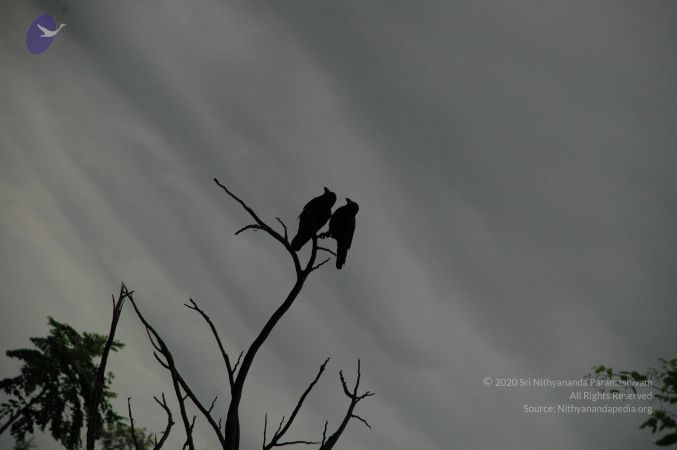 20100611 Photo 1019 1ughnDz-uj 3zW rcf PQ1EkFO3Eo-WlK.JPG