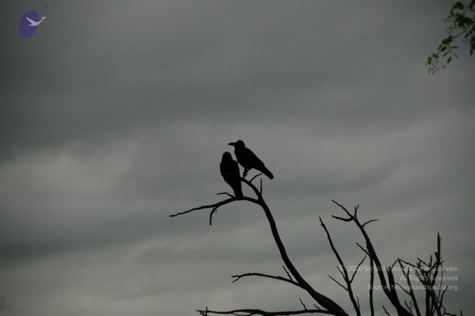 20100611 Photo 1022 1S891UtsIDG61aMDXxnLLR7zrwnFW6zSM.JPG