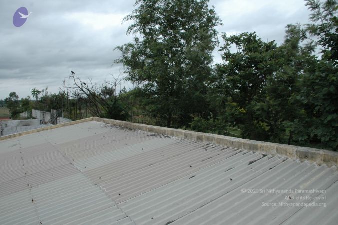 20100611 Photo 1031 1EO4bf 0 XNl yTV0NlrPFyptdWDSsyQw.JPG