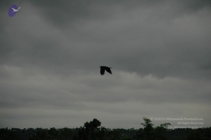 20100611 Photo 1032 1no9rMmlIXyTZ9QCtJgqzhZzZc2ev7sGR.JPG