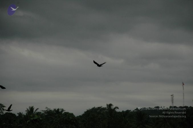 20100611 Photo 1035 1WCu7toGUx-4IRzKXCLIeRDYjA flcvKV.JPG