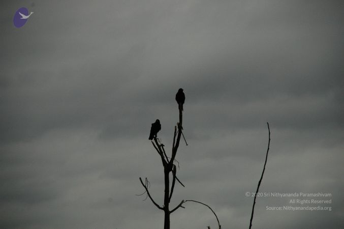 20100611 Photo 1037 1EiKgASPNXUbzW7OVmnc9SMFhAaS1J7Kc.JPG