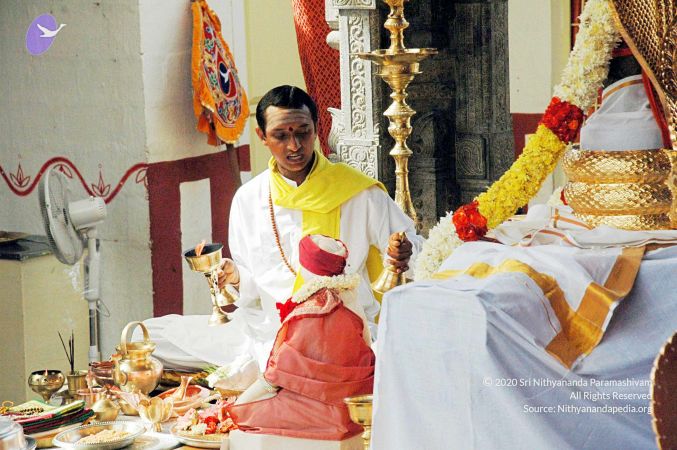 20100612DSC 1549 CMP WM1111.jpg