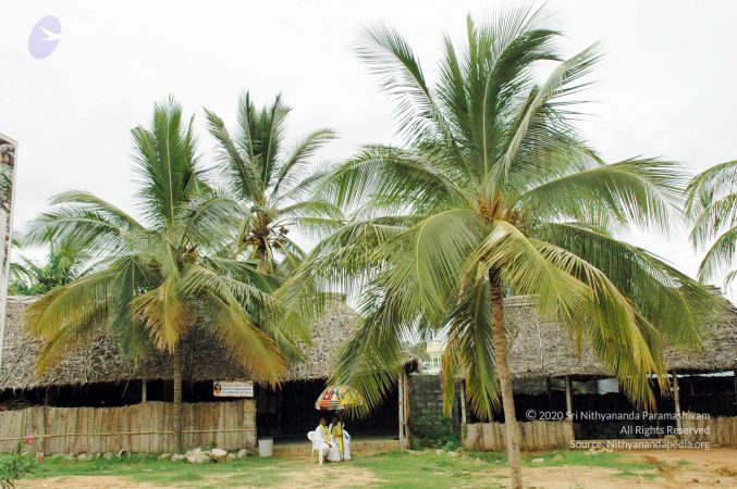 20100612DSC 1609 CMP WM1111.jpg