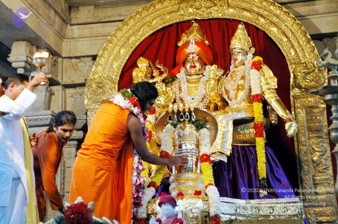 20100612DSC 1666 CMP WM1111.jpg