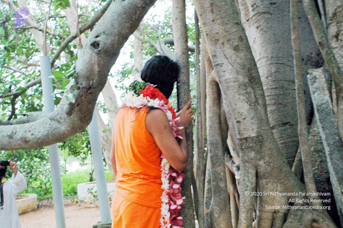 20100612DSC 1696 CMP WM1111.jpg