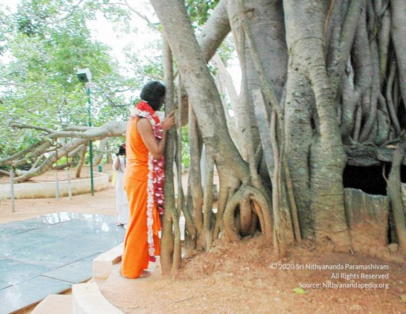 20100612DSC 1697 CMP WM1111.jpg