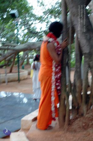 20100612DSC 1699 CMP WM1111.jpg