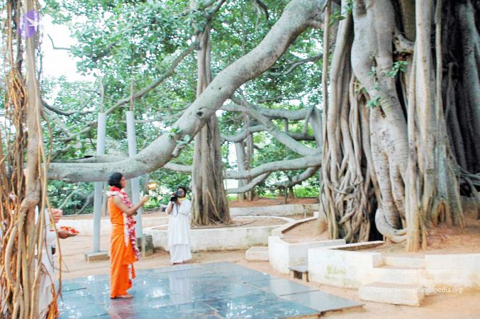 20100612DSC 1703 CMP WM1111.jpg