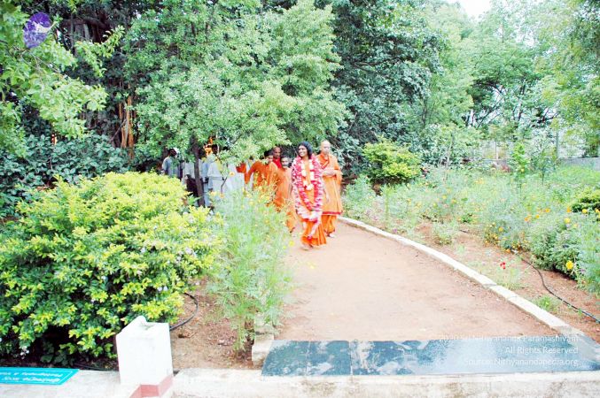 20100612DSC 1710 CMP WM1111.jpg