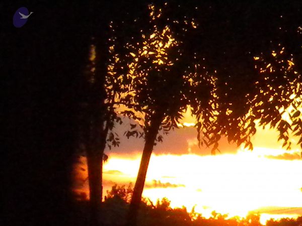 20100618 Photo 1015 1MQ26deB81PnIUQh6PVl1ykYhhsevOT8a.JPG