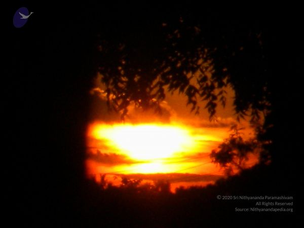 20100618 Photo 1016 1qN WUogDSBDvhZAW6N8OP45U-f2KLfNr.JPG