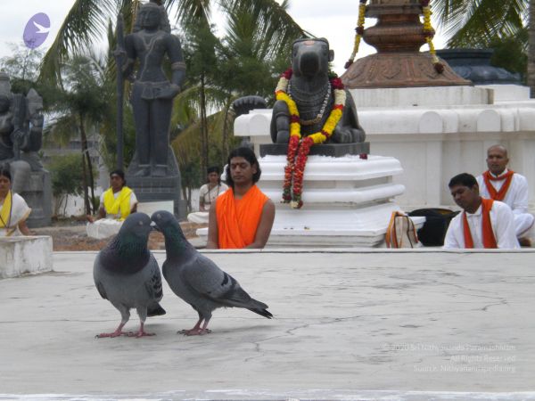 20100618 Photo 1018 1bJZyCLrcTMcHU YB BNiCe6CcBpb5Rp-.JPG