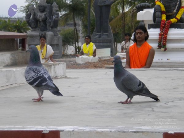 20100618 Photo 1019 1CZdTeef5H1xvdMTiEt8Z4QdZIQfAKMlU.JPG