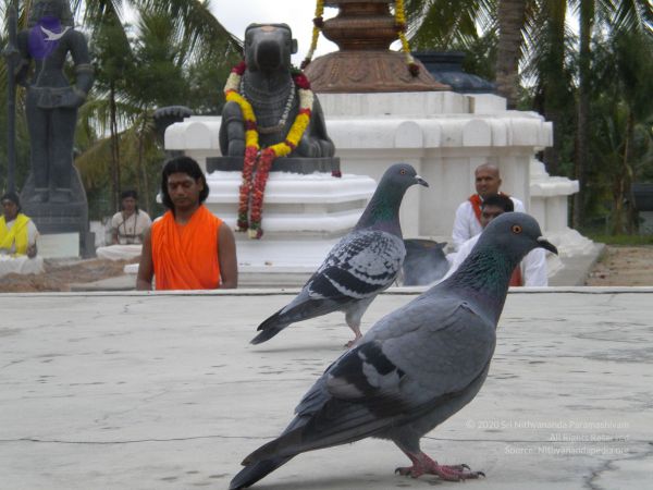 20100618 Photo 1020 1km008nquhby00oE5ZJnLY3w09uS64Y8G.JPG