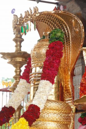 20100618 Photo 1040 1-wUuEnX8ISpP2KawYWjUHsZ7bcY6UnzA.JPG