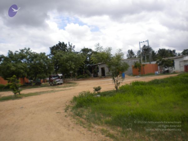 20100618 Photo 1080 1DDNKErri0B3mDh-UR9sthfSLgqCURs7z.JPG