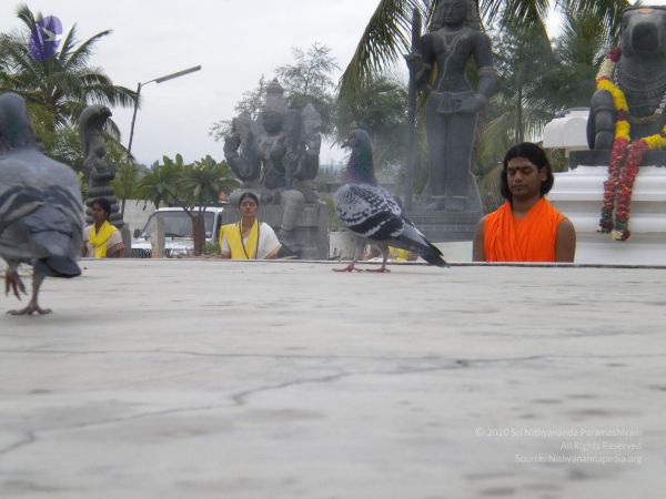 20100618 Photo 1097 1DV0XkzVgKsP5gtdqqmSqz97I-HcdJGqs.JPG