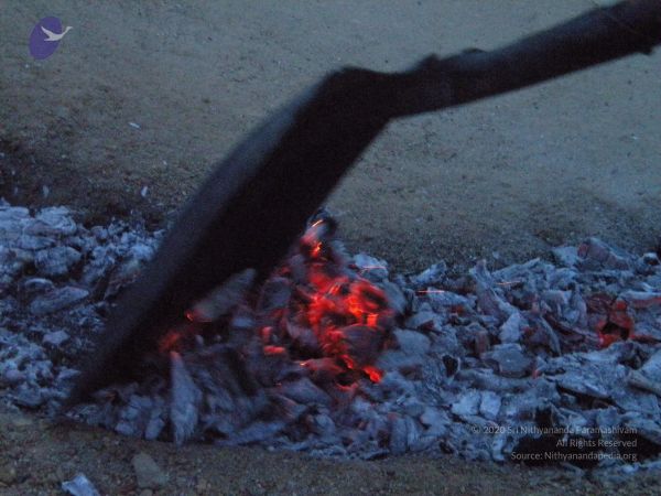 20100618 Photo 1104 1jvBwME255hNcAsDNNi2lVtlpkmiYf4N-.JPG