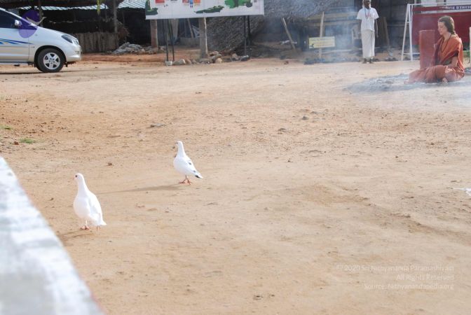 20100627 Photo 1038 1G hVpoPCWv4FHKzJ6E4yOTtX0LxwFn4a.JPG