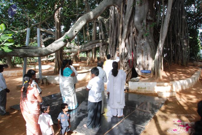 20100630 Photo 1008 1SU5aImbl6 qFqPVI8 FbkGs-fObwG5uo.JPG