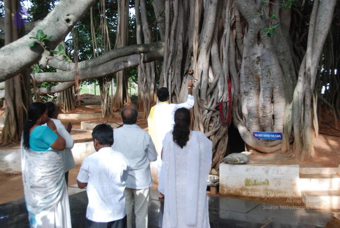 20100630 Photo 1009 12I9LD9XDU 8iNF0Z7guATqdz2P37aFK8.JPG