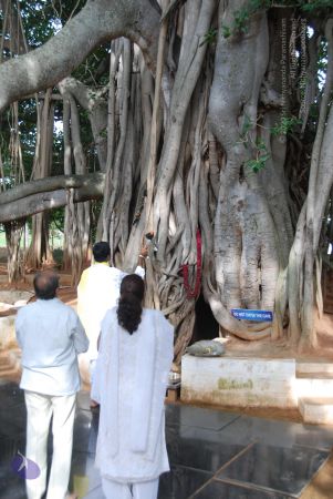 20100630 Photo 1010 1if3 F0gBTgOACCqerOqIbQFpK0agm9lp.JPG