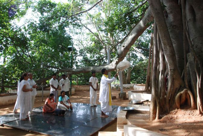 20100630 Photo 1016 1dhqN7RY3e7zZna9BFLmcWQlOYG41dsmC.JPG