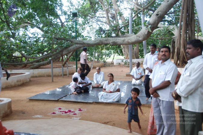 20100630 Photo 1037 1KPPomUJJEJBQTydyCvZtzJoAfkkz8G6D.JPG