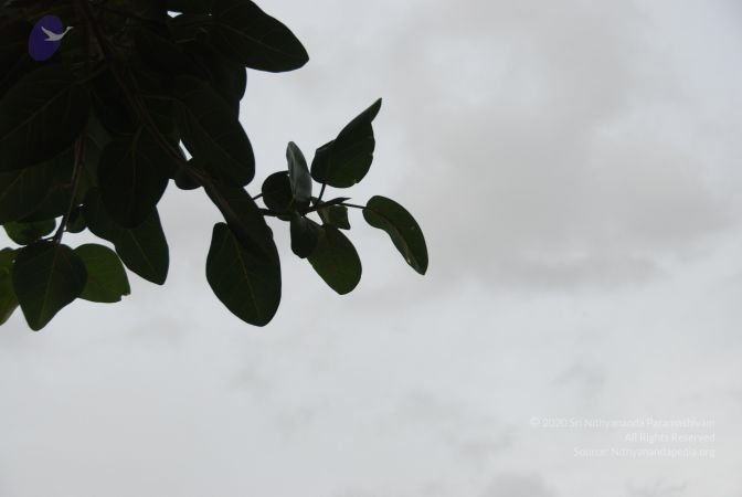 20100702 Photo 1204 1mm2OzRirGHtbzBdH0hckF9hBf9w8I6R8.JPG