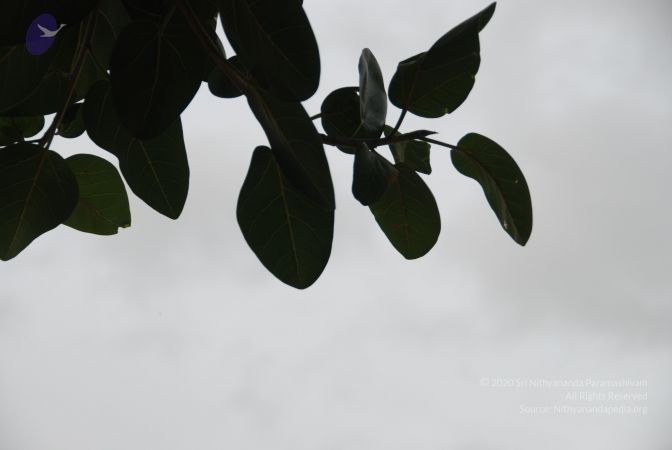 20100702 Photo 1205 1jZ7R2pyorn ok9z3khQd7n7ERrpXaztp.JPG