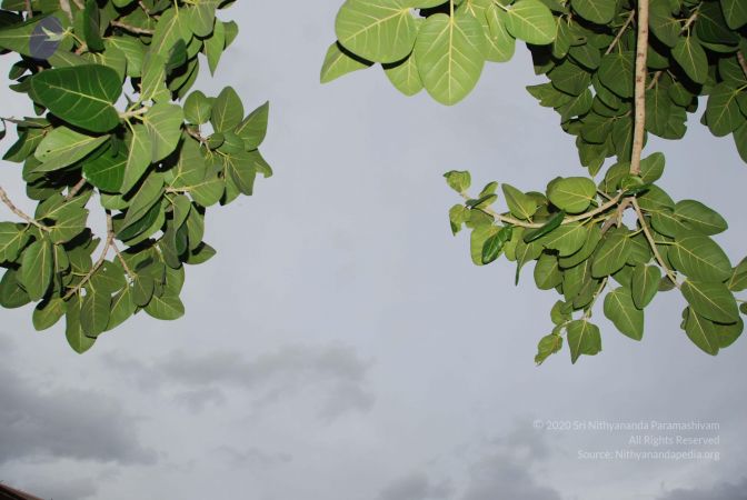 20100702 Photo 1208 1Rohsa5R34aZidmy-wSk3GADVFkMcfmAk.JPG