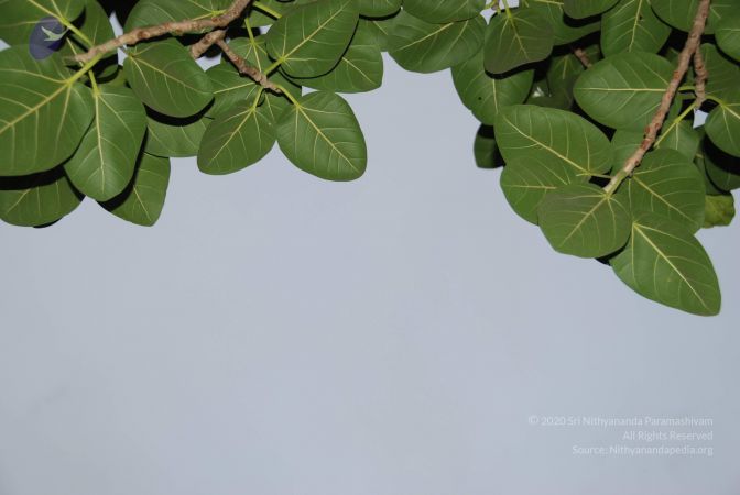 20100702 Photo 1217 1jPXuYctGm-52Z5l4Ni8br3h7GqTdoltz.JPG