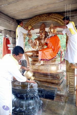 20100705 DSC 4709 CMP WM111.jpg