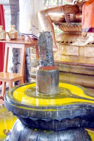 20100705 DSC 4740 CMP WM111.jpg