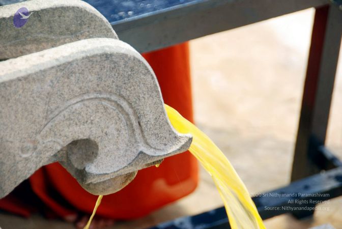 20100705 DSC 4747 CMP WM111.jpg