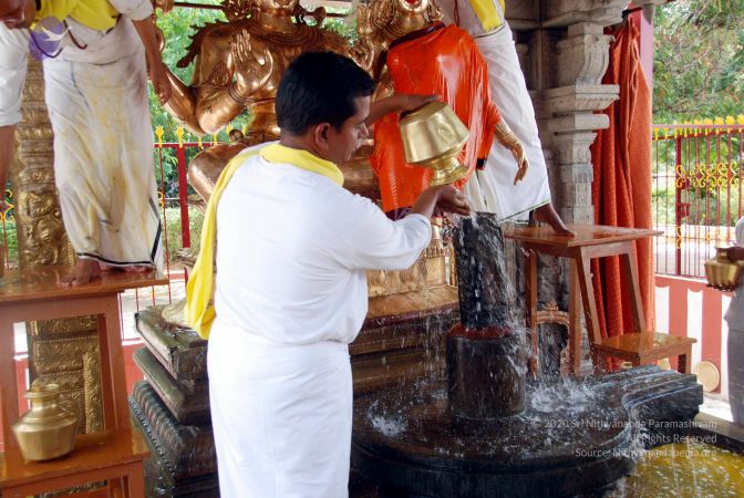 20100705 DSC 4753 CMP WM111.jpg