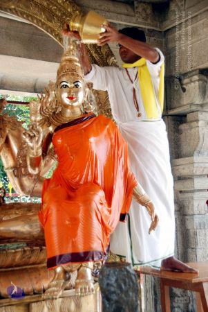 20100705 DSC 4755 CMP WM111.jpg