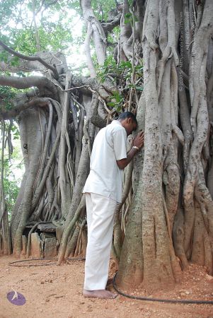 20100707 Photo 1046 1cCGvJsEkyrRbsk4WN0xaXQnsmrdsnwKQ.JPG