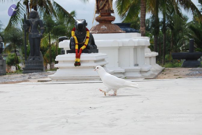 20100707 Photo 1073 1jww6ZN0LqBLjA64gHmk70LMW8yJq5 hF.JPG