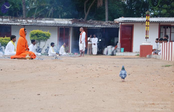 20100707 Photo 1120 1MVpTMsFuPb4a6eybQGcSL7CbaCXWjMj-.JPG