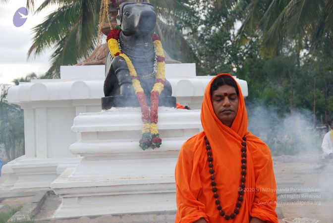 20100707 Photo 1124 1UalTlY3W90xUwQrOT28cmlA9VnV-01vp.JPG