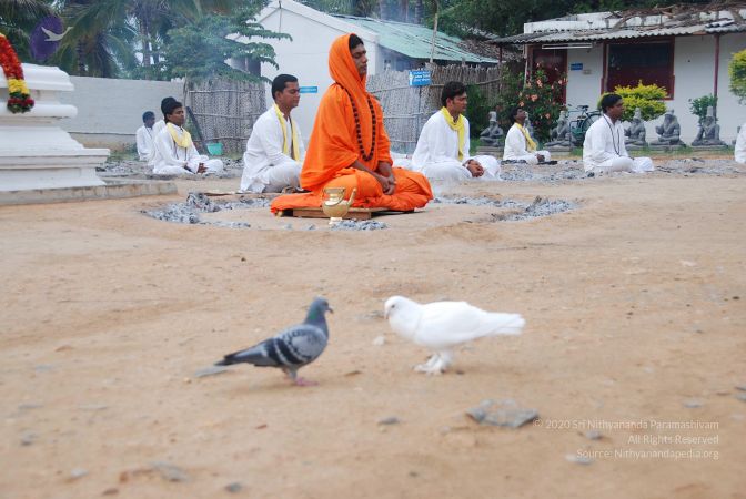 20100707 Photo 1137 1d2aZHKRsVm2F6ymACPz-huf0-Q gyPD0.JPG