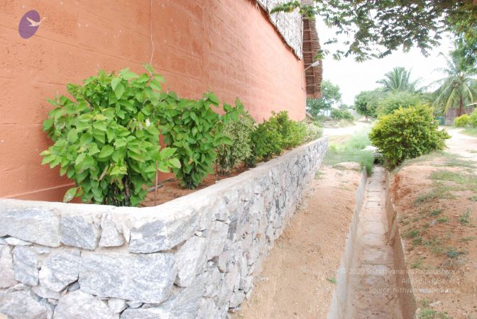 20100707 Photo 1188 1ge0zuDKEmJd9c Luo7hP5bpQVoIsNXoX.JPG