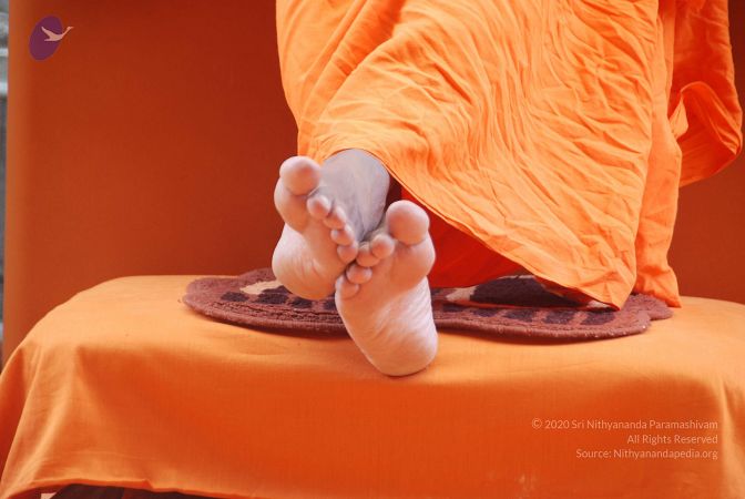 20100707 Photo 1308 1uswY8qhv-ho5oL87sqzpwwc-A5lv2 T3.JPG