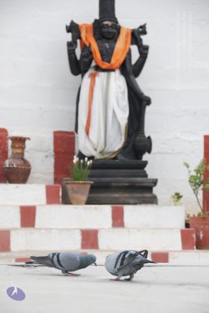 20100708 Photo 1042 18WCNbHsQfDWLHrNTa0mWitu7H7r1Cb1U.JPG