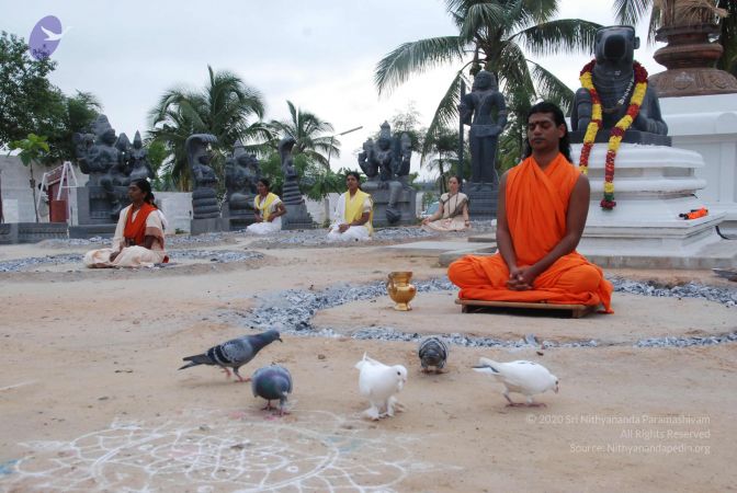 20100708 Photo 1118 1D7Bfk4fJ1sRIh6VblHwOj7EuuFKQwxLE.JPG